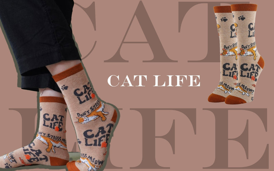 Live the Cat Life: Relax, Unwind, and Let Your Socks Do the Talking