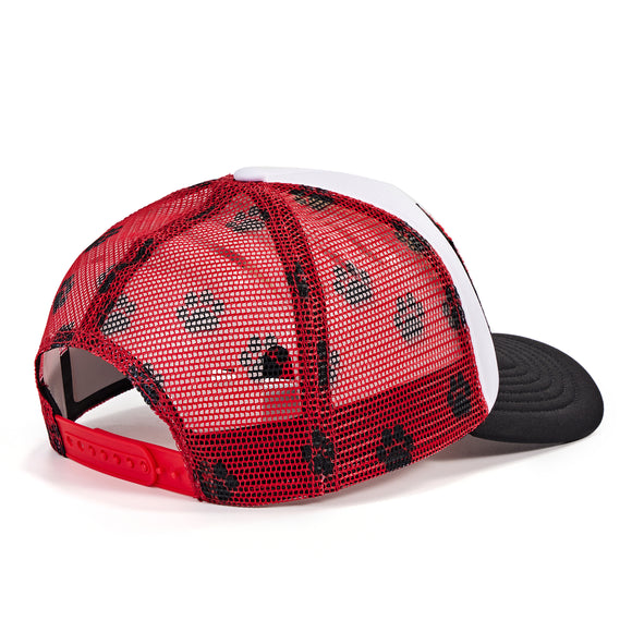 Go Georgia Hat