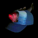 Light Up Salmon Hat-2