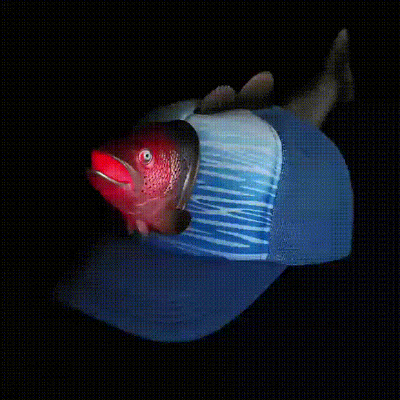 Light Up Salmon Hat