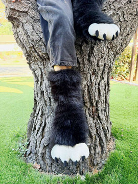 Pawsome Slipper Socks