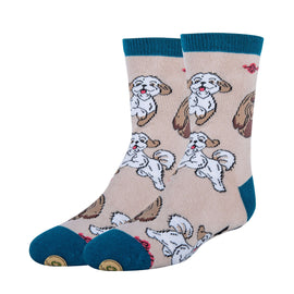 Shih Tzu Not Socks